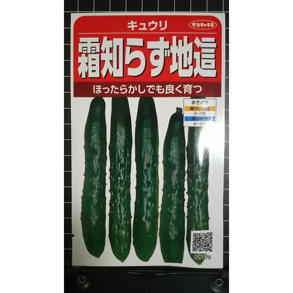 合計350円以下でのご注文は、申し訳ありませんがお受けできなくなっております。在庫切れ防止のため、実際の在庫数より販売可能数を少なく設定しております。まとまった数量をご希望の場合は、お問い合わせください。いろいろな品種を、よりどり３袋以上で...