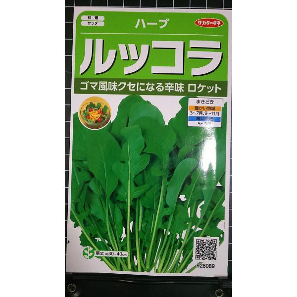 合計350円以下でのご注文は、申し訳ありませんがお受けできなくなっております。在庫切れ防止のため、実際の在庫数より販売可能数を少なく設定しております。まとまった数量をご希望の場合は、お問い合わせください。いろいろな品種を、よりどり３袋以上で...