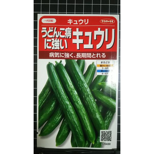 合計350円以下でのご注文は、申し訳ありませんがお受けできなくなっております。在庫切れ防止のため、実際の在庫数より販売可能数を少なく設定しております。まとまった数量をご希望の場合は、お問い合わせください。いろいろな品種を、よりどり３袋以上で...