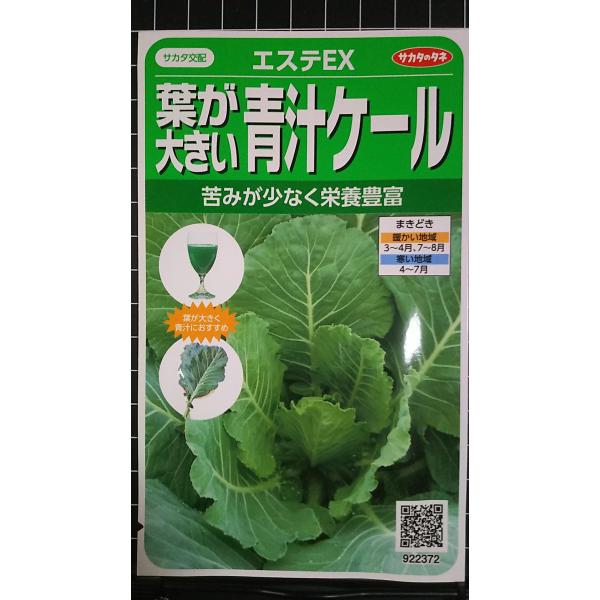 合計350円以下でのご注文は、申し訳ありませんがお受けできなくなっております。在庫切れ防止のため、実際の在庫数より販売可能数を少なく設定しております。まとまった数量をご希望の場合は、お問い合わせください。いろいろな品種を、よりどり３袋以上で...