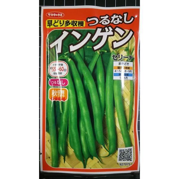 合計350円以下でのご注文は、申し訳ありませんがお受けできなくなっております。在庫切れ防止のため、実際の在庫数より販売可能数を少なく設定しております。まとまった数量をご希望の場合は、お問い合わせください。いろいろな品種を、よりどり３袋以上で...