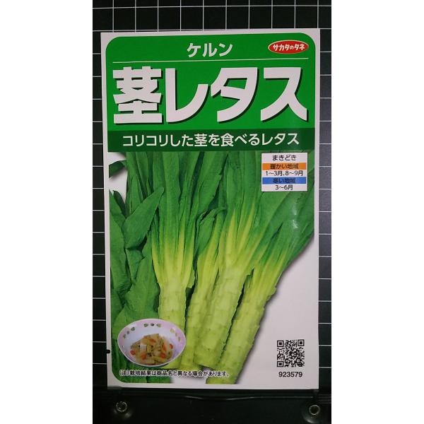 合計350円以下でのご注文は、申し訳ありませんがお受けできなくなっております。在庫切れ防止のため、実際の在庫数より販売可能数を少なく設定しております。まとまった数量をご希望の場合は、お問い合わせください。いろいろな品種を、よりどり３袋以上で...