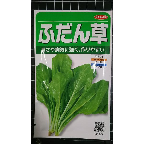 合計350円以下でのご注文は、申し訳ありませんがお受けできなくなっております。在庫切れ防止のため、実際の在庫数より販売可能数を少なく設定しております。まとまった数量をご希望の場合は、お問い合わせください。いろいろな品種を、よりどり３袋以上で...