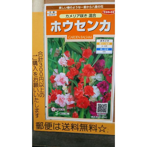 種 ホウセンカの人気商品 通販 価格比較 価格 Com