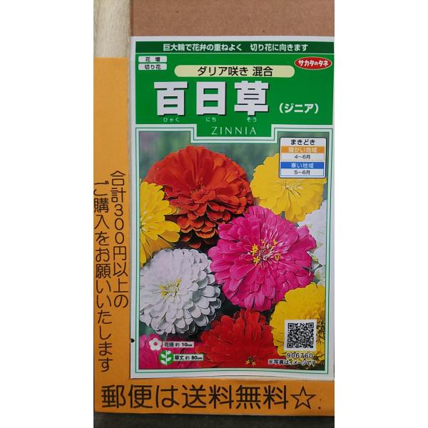 ダリア 種 種の人気商品 通販 価格比較 価格 Com
