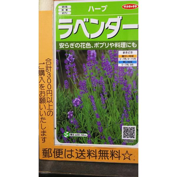 ラベンダー 種の人気商品 通販 価格比較 価格 Com