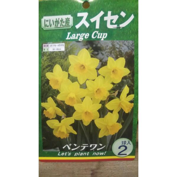 写真は同品種・同規格の品です。お届け品の現物ではありません。数量１のご注文で、１袋のお届けとなります。在庫切れ防止のため、実際の在庫数より販売可能数を少なく設定している場合があります。まとまった数量をご希望の場合は、お問い合わせください。お...