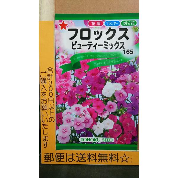 フロックス みんな探してる人気モノ フロックス