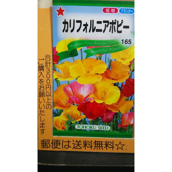 種 ポピーの人気商品 通販 価格比較 価格 Com