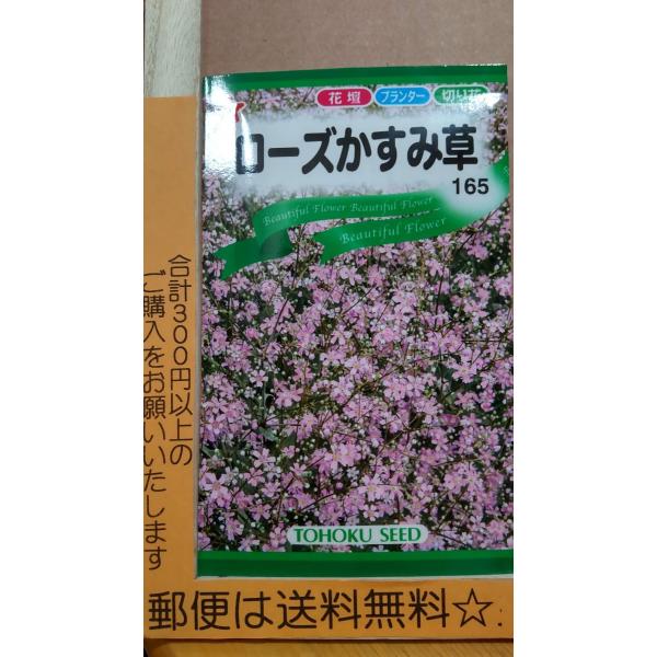 生花 花束 カスミソウ 種の人気商品 通販 価格比較 価格 Com