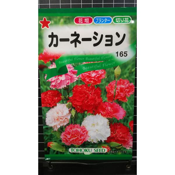 合計350円以下でのご注文は、申し訳ありませんがお受けできなくなっております。在庫切れ防止のため、実際の在庫数より販売可能数を少なく設定しております。まとまった数量をご希望の場合は、お問い合わせください。いろいろな品種を、よりどり３袋以上で...