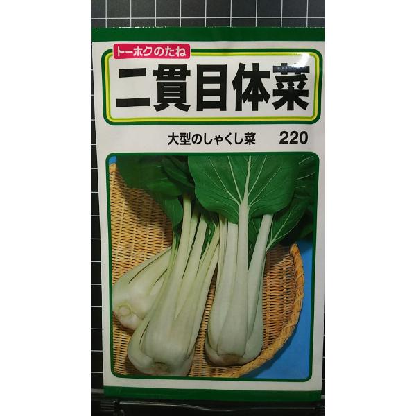 合計350円以下でのご注文は、申し訳ありませんがお受けできなくなっております。在庫切れ防止のため、実際の在庫数より販売可能数を少なく設定しております。まとまった数量をご希望の場合は、お問い合わせください。いろいろな品種を、よりどり３袋以上で...