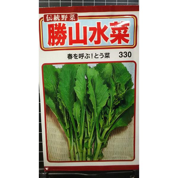 合計350円以下でのご注文は、申し訳ありませんがお受けできなくなっております。在庫切れ防止のため、実際の在庫数より販売可能数を少なく設定しております。まとまった数量をご希望の場合は、お問い合わせください。いろいろな品種を、よりどり３袋以上で...