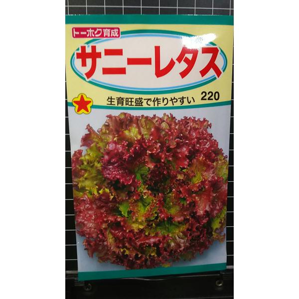 合計350円以下でのご注文は、申し訳ありませんがお受けできなくなっております。在庫切れ防止のため、実際の在庫数より販売可能数を少なく設定しております。まとまった数量をご希望の場合は、お問い合わせください。いろいろな品種を、よりどり３袋以上で...