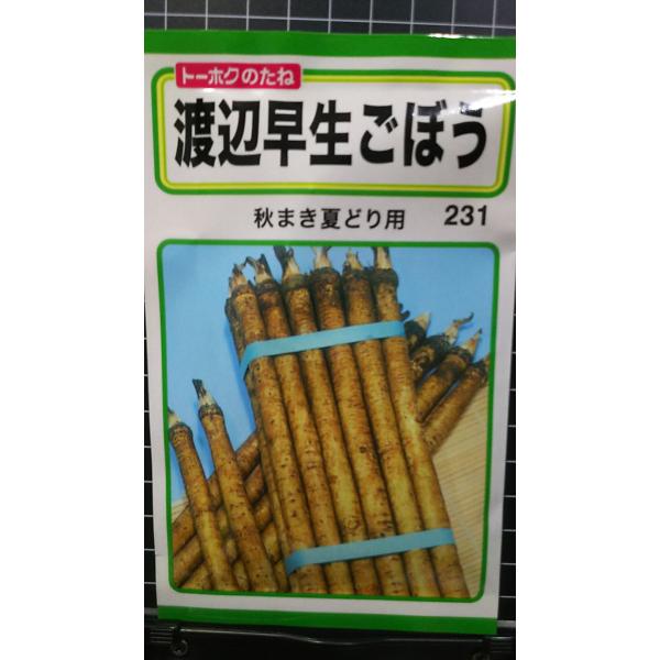 合計350円以下でのご注文は、申し訳ありませんがお受けできなくなっております。在庫切れ防止のため、実際の在庫数より販売可能数を少なく設定しております。まとまった数量をご希望の場合は、お問い合わせください。いろいろな品種を、よりどり３袋以上で...