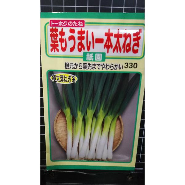 合計350円以下でのご注文は、申し訳ありませんがお受けできなくなっております。在庫切れ防止のため、実際の在庫数より販売可能数を少なく設定しております。まとまった数量をご希望の場合は、お問い合わせください。いろいろな品種を、よりどり３袋以上で...