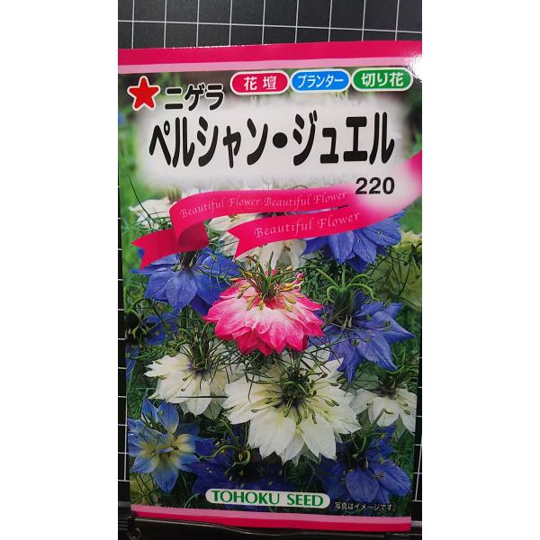合計350円以下でのご注文は、申し訳ありませんがお受けできなくなっております。在庫切れ防止のため、実際の在庫数より販売可能数を少なく設定しております。まとまった数量をご希望の場合は、お問い合わせください。いろいろな品種を、よりどり３袋以上で...