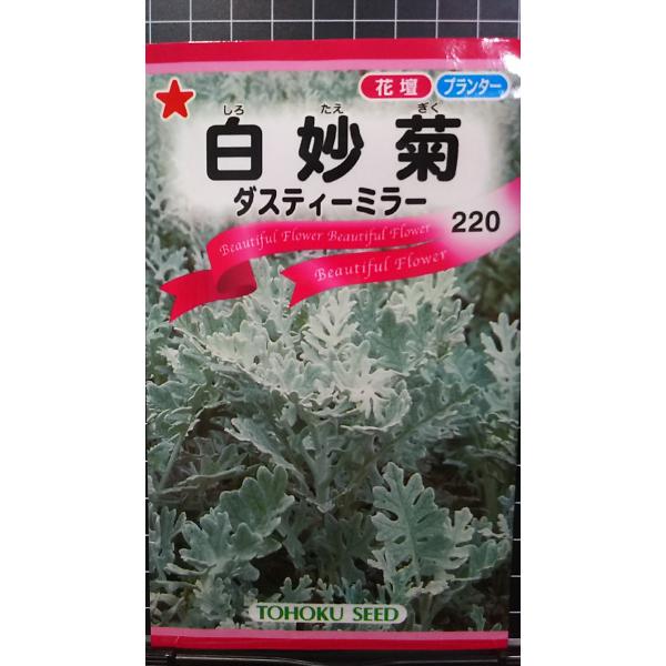 合計350円以下でのご注文は、申し訳ありませんがお受けできなくなっております。在庫切れ防止のため、実際の在庫数より販売可能数を少なく設定しております。まとまった数量をご希望の場合は、お問い合わせください。いろいろな品種を、よりどり３袋以上で...