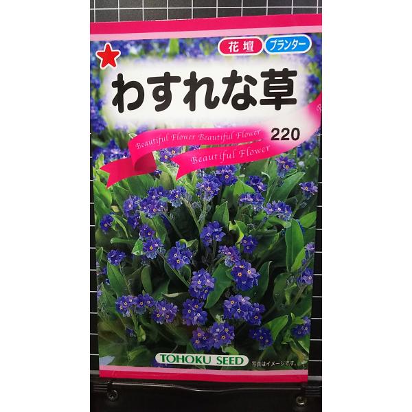 合計350円以下でのご注文は、申し訳ありませんがお受けできなくなっております。在庫切れ防止のため、実際の在庫数より販売可能数を少なく設定しております。まとまった数量をご希望の場合は、お問い合わせください。いろいろな品種を、よりどり３袋以上で...