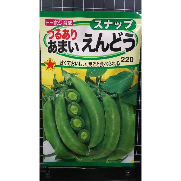 合計350円以下でのご注文は、申し訳ありませんがお受けできなくなっております。在庫切れ防止のため、実際の在庫数より販売可能数を少なく設定しております。まとまった数量をご希望の場合は、お問い合わせください。いろいろな品種を、よりどり３袋以上で...