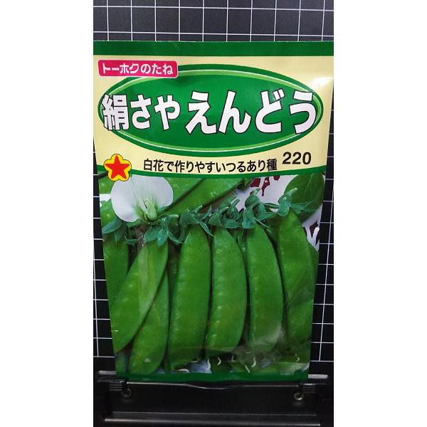 さやえんどう 3袋以上でクーポン割引 絹さや えんどう つるあり 種 郵便は