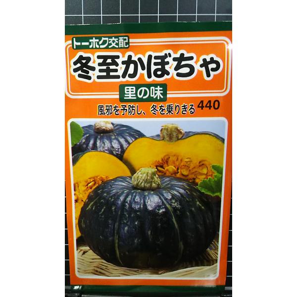 合計350円以下でのご注文は、申し訳ありませんがお受けできなくなっております。在庫切れ防止のため、実際の在庫数より販売可能数を少なく設定しております。まとまった数量をご希望の場合は、お問い合わせください。いろいろな品種を、よりどり３袋以上で...