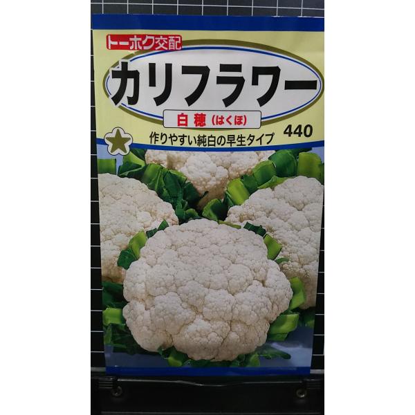 合計350円以下でのご注文は、申し訳ありませんがお受けできなくなっております。在庫切れ防止のため、実際の在庫数より販売可能数を少なく設定しております。まとまった数量をご希望の場合は、お問い合わせください。いろいろな品種を、よりどり３袋以上で...