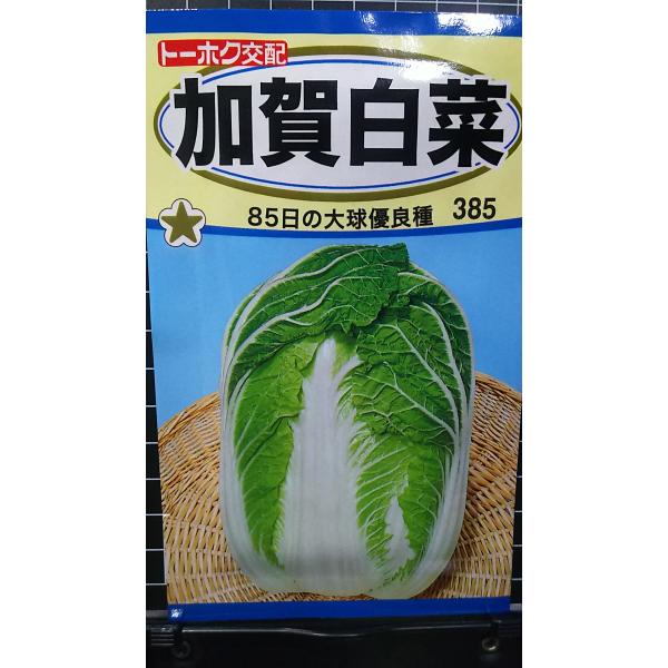合計350円以下でのご注文は、申し訳ありませんがお受けできなくなっております。在庫切れ防止のため、実際の在庫数より販売可能数を少なく設定しております。まとまった数量をご希望の場合は、お問い合わせください。いろいろな品種を、よりどり３袋以上で...