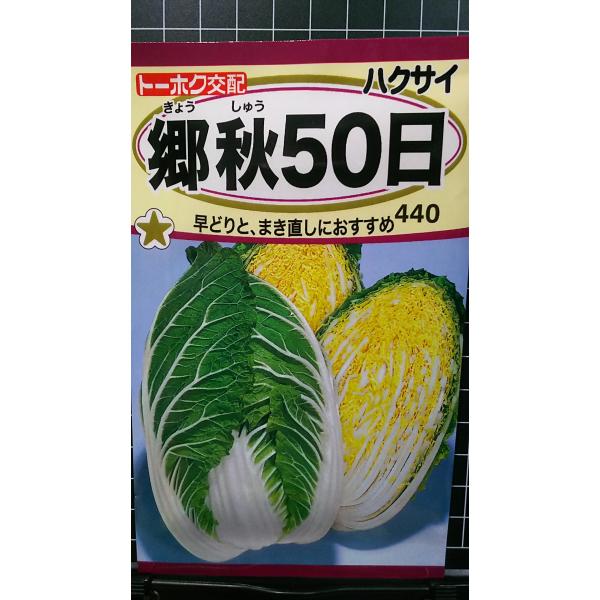 在庫切れ防止のため、実際の在庫数より販売可能数を少なく設定しております。まとまった数量をご希望の場合は、お問い合わせください。いろいろな品種を、よりどり３袋以上で、割引クーポンがご利用可能です。各種クーポンをご利用の方は、クーポン獲得→クー...