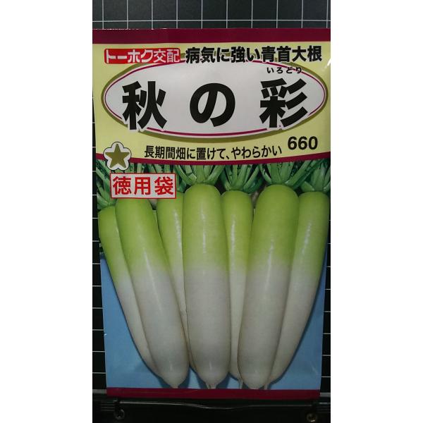 在庫切れ防止のため、実際の在庫数より販売可能数を少なく設定しております。まとまった数量をご希望の場合は、お問い合わせください。いろいろな品種を、よりどり３袋以上で、割引クーポンがご利用可能です。各種クーポンをご利用の方は、クーポン獲得→クー...