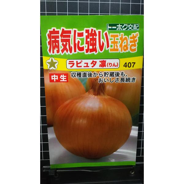 在庫切れ防止のため、実際の在庫数より販売可能数を少なく設定しております。まとまった数量をご希望の場合は、お問い合わせください。いろいろな品種を、よりどり３袋以上で、割引クーポンがご利用可能です。各種クーポンをご利用の方は、クーポン獲得→クー...