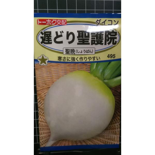 在庫切れ防止のため、実際の在庫数より販売可能数を少なく設定しております。まとまった数量をご希望の場合は、お問い合わせください。いろいろな品種を、よりどり３袋以上で、割引クーポンがご利用可能です。各種クーポンをご利用の方は、クーポン獲得→クー...