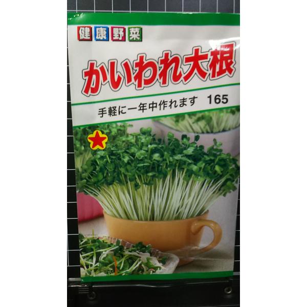 合計350円以下でのご注文は、申し訳ありませんがお受けできなくなっております。在庫切れ防止のため、実際の在庫数より販売可能数を少なく設定しております。まとまった数量をご希望の場合は、お問い合わせください。いろいろな品種を、よりどり３袋以上で...