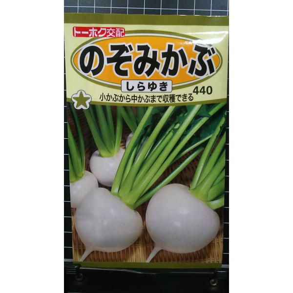 合計350円以下でのご注文は、申し訳ありませんがお受けできなくなっております。在庫切れ防止のため、実際の在庫数より販売可能数を少なく設定しております。まとまった数量をご希望の場合は、お問い合わせください。いろいろな品種を、よりどり３袋以上で...