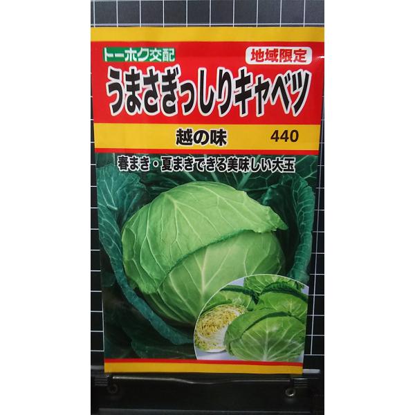 合計350円以下でのご注文は、申し訳ありませんがお受けできなくなっております。在庫切れ防止のため、実際の在庫数より販売可能数を少なく設定しております。まとまった数量をご希望の場合は、お問い合わせください。いろいろな品種を、よりどり３袋以上で...