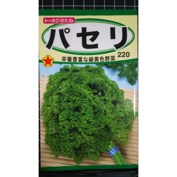 ３袋以上でクーポン割引 パセリ 種 郵便は送料無料