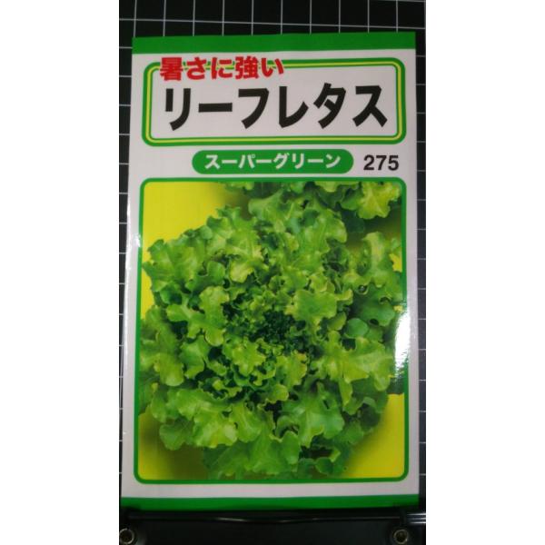 ３袋以上でクーポン割引 リーフレタス スーパーグリーン 種 郵便は送料無料