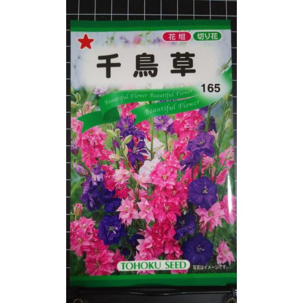 ３袋以上でクーポン割引 千鳥草 チドリソウ 種 郵便は送料無料