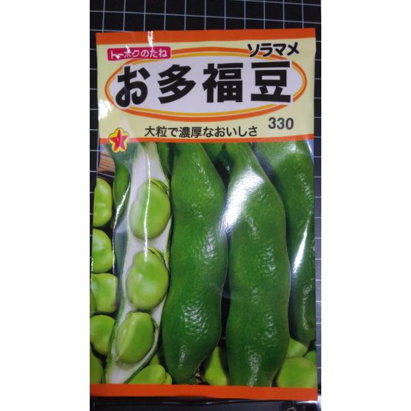 ３袋以上でクーポン割引 お多福豆 そら豆 おたふく ソラマメ 種 郵便は送料無料