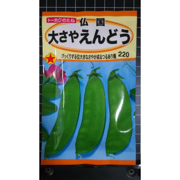 ３袋以上でクーポン割引 仏国 大さや エンドウ つるあり 種 郵便は送料無料