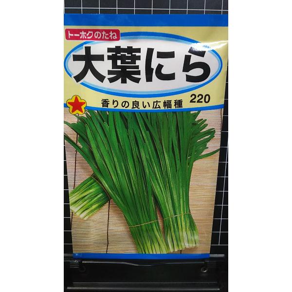 ３袋以上でクーポン割引 大葉 ニラ 広幅 にら 種 郵便は送料無料