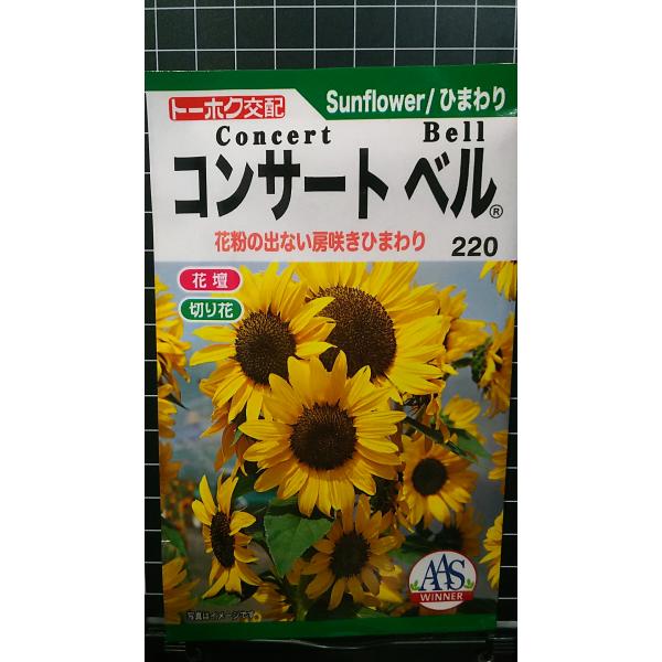 ３袋以上でクーポン割引 コンサートベル 房咲 ひまわり 向日葵 種 郵便は送料無料