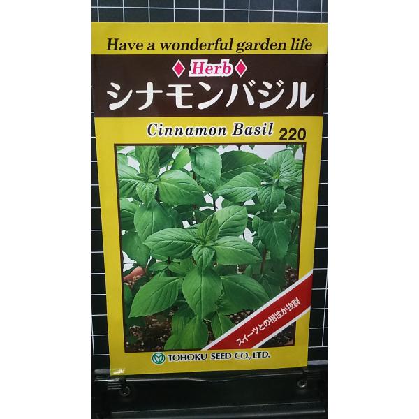 ３袋以上でクーポン割引 シナモン バジル 種 郵便は送料無料