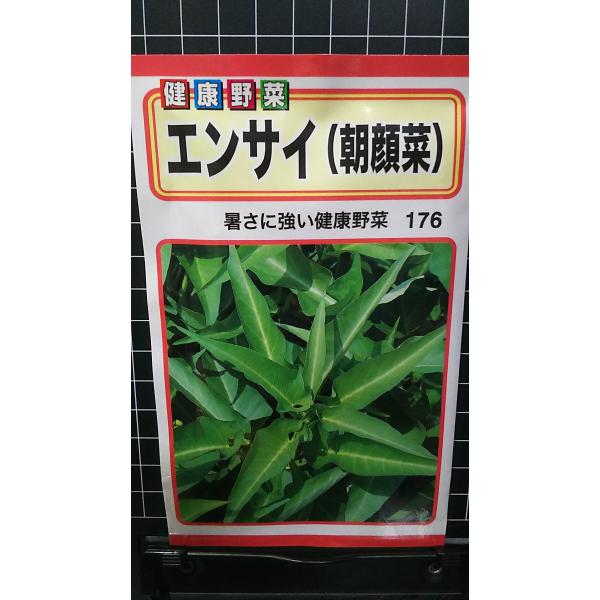 ３袋以上でクーポン割引 エンサイ 朝顔菜 エンツァイ 種 郵便は送料無料