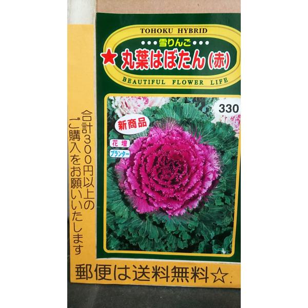 ハボタン 種の人気商品 通販 価格比較 価格 Com