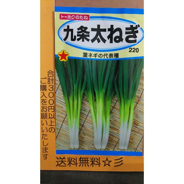 九条 太ねぎ 葉ネギ 種 送料無料 Tkkujyouhutonegi きのくに種苗店 通販 Yahoo ショッピング