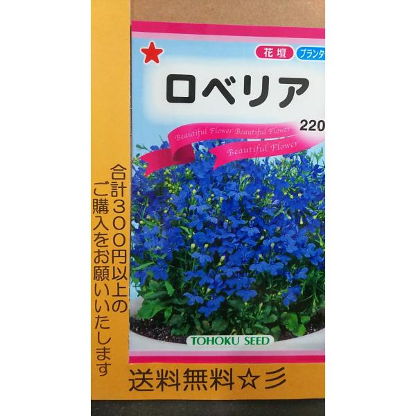 ロベリア 種 送料無料 Tkrobenia きのくに種苗店 通販 Yahoo ショッピング