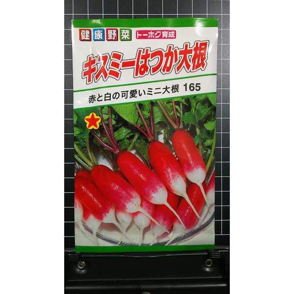 ミニ 大根 種の人気商品 通販 価格比較 価格 Com