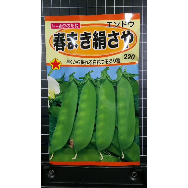 ３袋以上でクーポン割引 春まき 絹さや エンドウ つるあり 種 郵便は送料無料 Tr235aarukinusaya きのくに種苗店 通販 Yahoo ショッピング