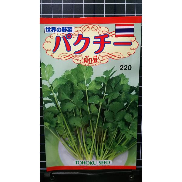 野菜の種 パクチー コリアンダー ４袋まで送料７３円 優良配送はクリップポストで送料185円